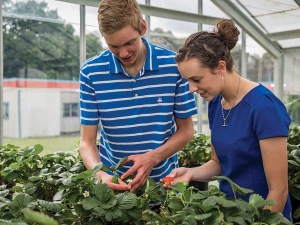 Employment and career opportunities in the horticulture sector are many and diverse with demand for graduates far exceeding supply. Photo Credit: Massey University.