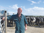 North Otago farmer Francois Tillard has signed up for LIC’s female genotyping service to identify his best heifer calves long before they step up to the milking platform.