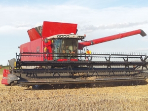 Mark Dillon and his new MF 9560 harvester in action earlier this year.