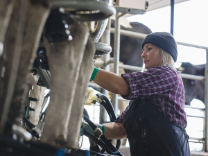 Milk production in NZ and around the world has been sluggish.