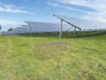 BlueGreen Frontiers Launches Renewable Energy Venture in Taranaki