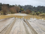 Nelson farmers face years of recovery after floods
