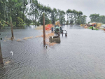 Dargaville remains one of the worst hit areas of Northland with many dairy and kumara farms impacted by flooding. PHOTO: KATHERYN DE BRUIN