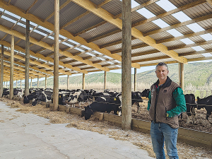 Banks Peninsula farm converts to dairy, cuts footprint by 46%