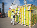 The first shipment of kiwifruit from the 2023 season is headed for Japan.