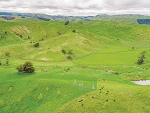 Waikato farmers urged to improve effluent management