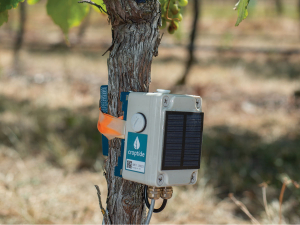 A prototype Croptide sensor.