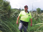 South Waikato wetland project paying dividends