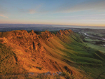 NZ Wine Events Diary: October 2026 to February 2027