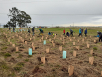 Volunteers at a planting day for the Waimea Inlet Restoration Project.