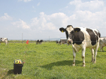 Forcefield’s range of electric fence systems include electric fence testers and solar energisers.