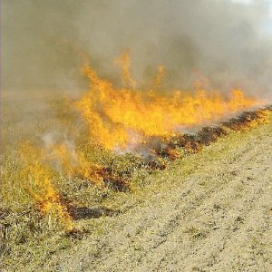Burning march fails to fire