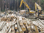 The Forestry Industry Contractors Association says forestry contractors are &#039;at breaking point&#039;.