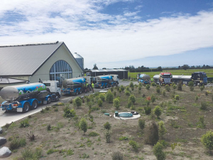 Fonterra tankers at a Kaikoura farm last week.