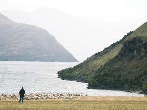 Government moves to give greater public access to High Country stations - via the Crown Pastoral Land Reform Bill - have been questioned by an eminent legal expert. Minaret Station - Credit: Kieran Scott.