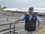 Pirongia farm manager Louis Vandenberg.