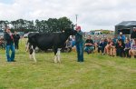 Judge shares tips on ranking cows