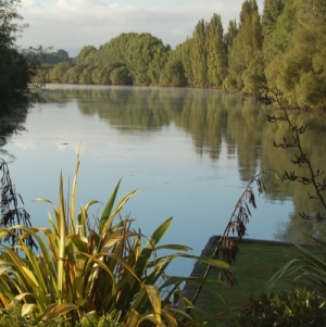 Waikato River