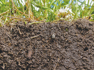 Soil is one of the most valuable assets that a farmer has.