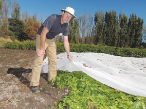 Physical barriers such as mesh may be an alternative to pesticides, but beware unintended consequences, says Charles Merfield of Lincoln’s BHU.