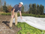 Physical barriers such as mesh may be an alternative to pesticides, but beware unintended consequences, says Charles Merfield of Lincoln’s BHU.