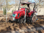 What used to be done by hand is now done by machine. The vines are buried under 70cm of soil to survive the harsh winter months in Ningxia.