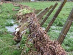 Damaged fencing on a farm in Waikawa.