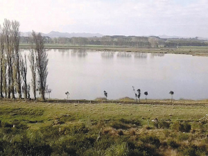 Lake Whangape, Waikato.