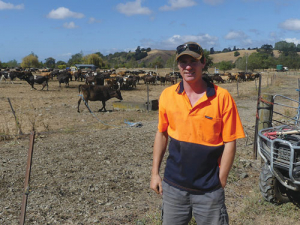 Michael Shearer says drying off early means a production loss of about 40,000kgMS.