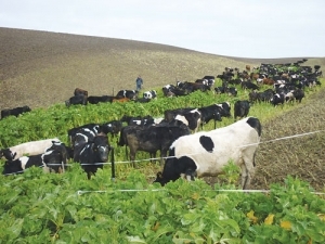 The scholarships are part of a wider drive to attract more motivated young talent into the dairy industry.