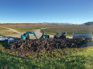 GreenVine Aotearoa is processing old grapevines in Marlborough into chip for biomass, biochar, animal bedding and landscaping. “We’ve got a home for as much grape chip as we can provide,” says Jimmy Stewart.