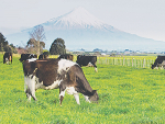 The dairy industry is experiencing uncertainty despite a 'normal' pricing outlook.
