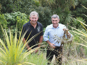 Ballance Environmental farmer of the Year Richard Kidd, with Primary Industries Minister Nathan Guy who planted a kauri on Kidd’s farm.