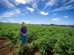 Potatoes NZ chief executive Kate Trufitt.