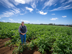 Potatoes New Zealand Celebrates Milestone Amid Grower Pressures