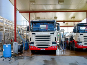 Westland Milk Products&#039; milk trucks.