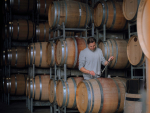 New Zealand Wine Vintage 2026: Regional Harvest Results and Industry Outlook