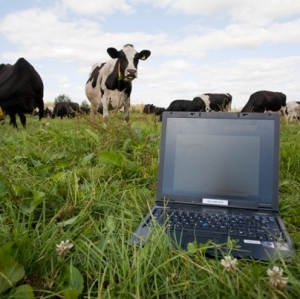 Lincoln develops farm output