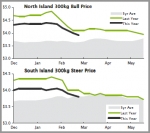 BEEF | Dairy cows coming out in big numbers