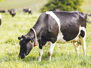 The technology combines behaviour data collected via proprietary collar-mounted sensors with data from internetconnected farm systems, farm equipment and third-party sources.