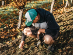 Young Viticulturist Chair