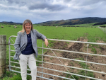 Emissions plan a kick in the guts for Southland farmers - Simmonds