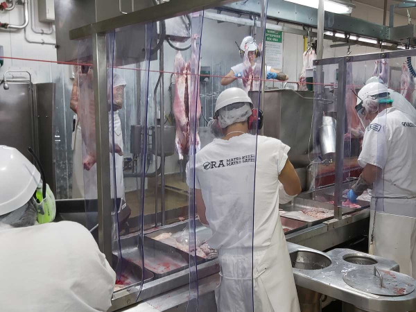 COVID19 More meat processing delays