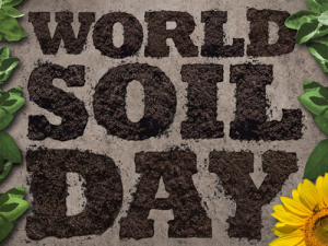 Happy World Soil Day!