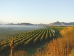 The mysteries of New Zealand Chardonnay and Sparkling wine will unfold in beautiful Gisborne early next year. Photo: Kirkpatrick Estate Wines, supplied by NZW.