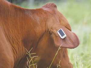 The Ceres smart tag is the world&#039;s first direct-to-satellite tag for agriculture.