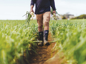 Hort NZ says protecting productive land is just one of the ingredients for growers to deliver fresh healthy food to New Zealanders.