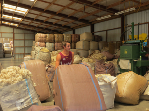 Mixed bag results for wool