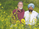 Professors Martin Barbetti and Surinder Banga with brassica crops.