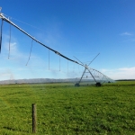 Farm near Culverden 